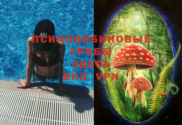 a pvp Вяземский