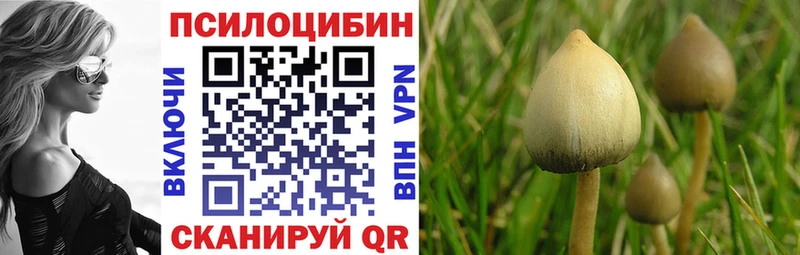 продажа наркотиков  Жигулёвск  Галлюциногенные грибы Cubensis 